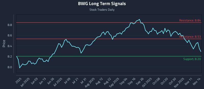 BWG Long Term Analysis for November 16 2025