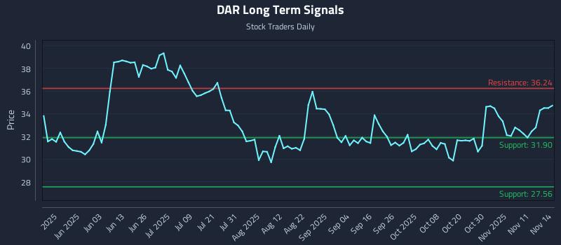 DAR Long Term Analysis for November 16 2025