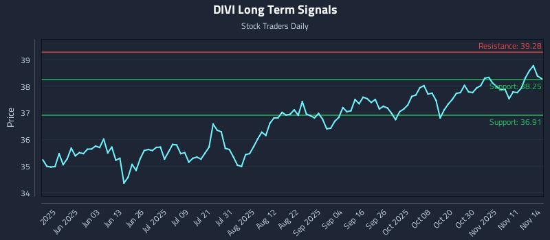 DIVI Long Term Analysis for November 16 2025
