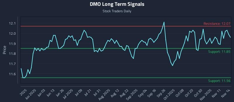 DMO Long Term Analysis for November 16 2025 DMO Long Term Analysis for November 16 2025