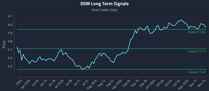 DSM Long Term Analysis for November 16 2025 DSM Long Term Analysis for November 16 2025