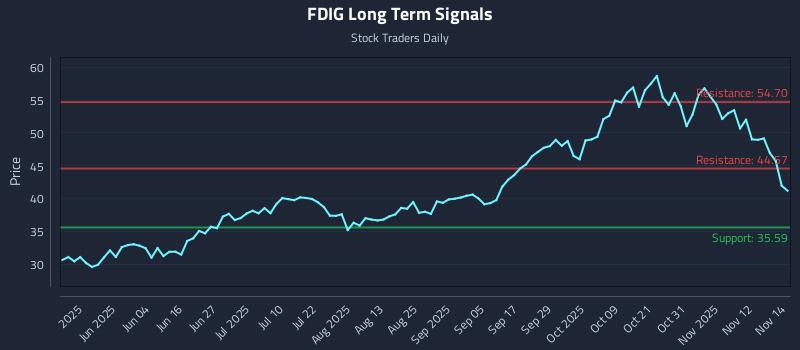 FDIG Long Term Analysis for November 17 2025
