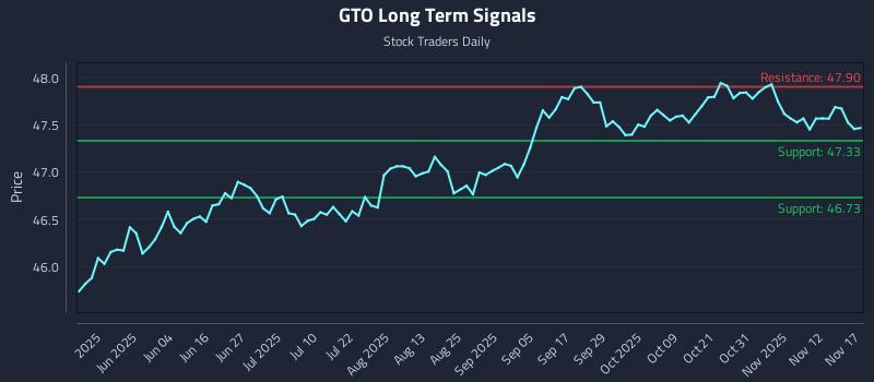 GTO Long Term Analysis for November 17 2025