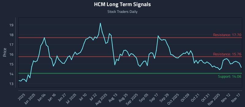 HCM Long Term Analysis for November 17 2025