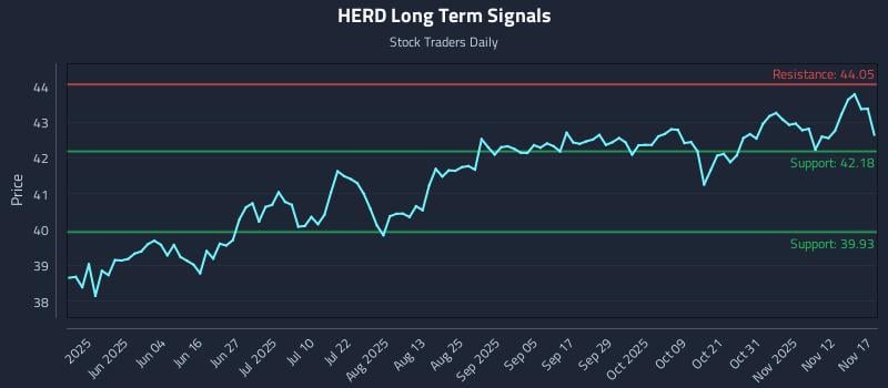 HERD Long Term Analysis for November 17 2025
