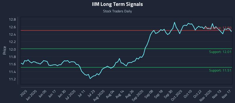 IIM Long Term Analysis for November 18 2025 IIM Long Term Analysis for November 18 2025