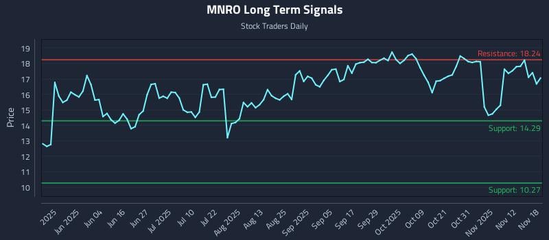 MNRO Long Term Analysis for November 18 2025