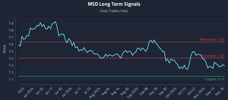 MSD Long Term Analysis for November 18 2025
