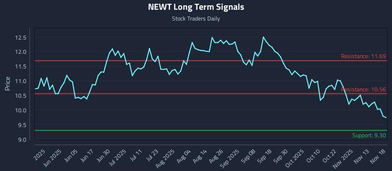 NEWT Long Term Analysis for November 18 2025 NEWT Long Term Analysis for November 18 2025