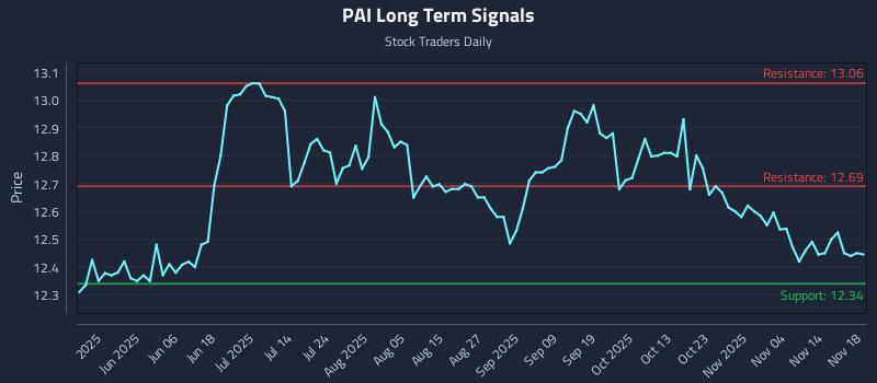 PAI Long Term Analysis for November 19 2025