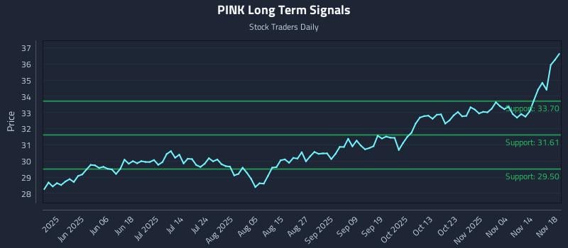 PINK Long Term Analysis for November 19 2025