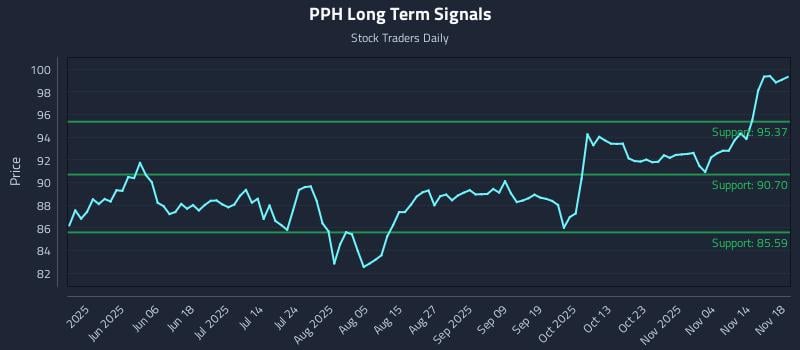 PPH Long Term Analysis for November 19 2025