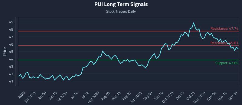 PUI Long Term Analysis for November 19 2025