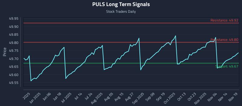 PULS Long Term Analysis for November 19 2025