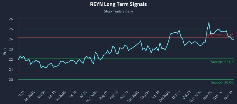 REYN Long Term Analysis for November 19 2025