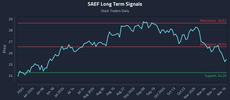 SAEF Long Term Analysis for November 19 2025
