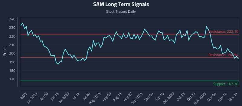 SAM Long Term Analysis for November 19 2025