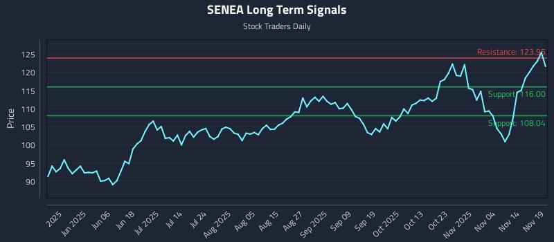 SENEA Long Term Analysis for November 19 2025