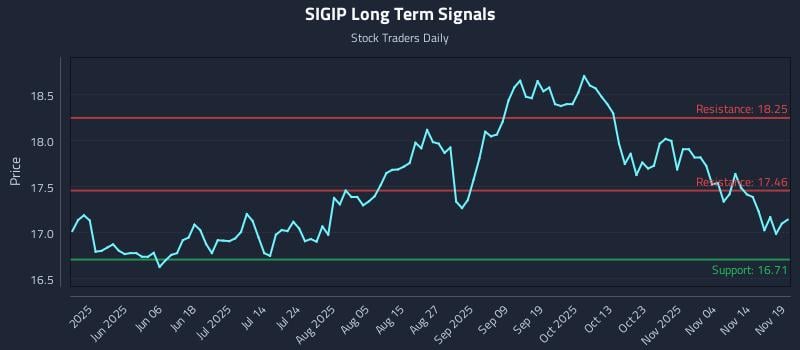 SIGIP Long Term Analysis for November 19 2025