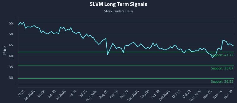 SLVM Long Term Analysis for November 19 2025