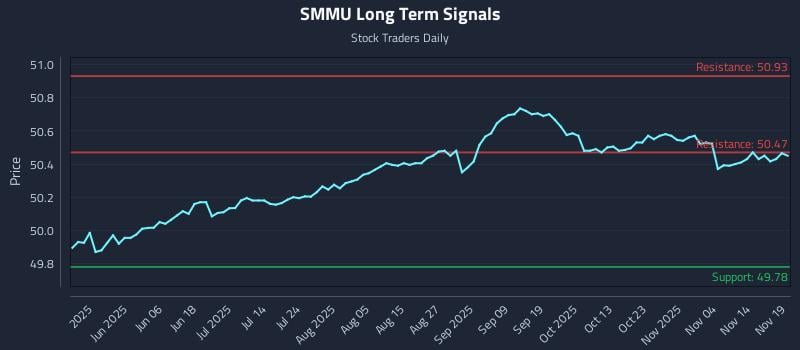 SMMU Long Term Analysis for November 19 2025