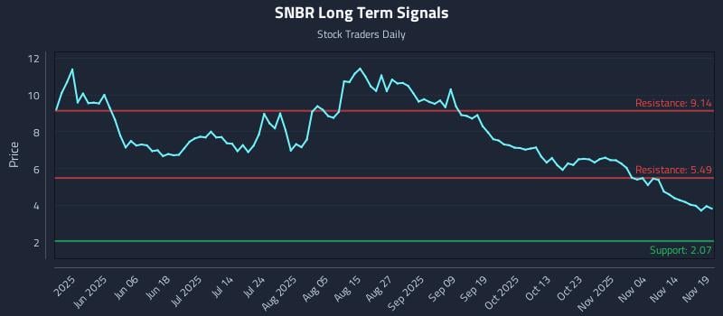 SNBR Long Term Analysis for November 19 2025