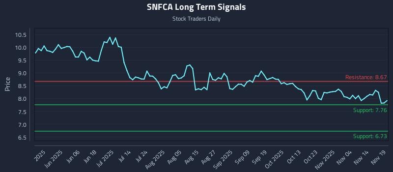 SNFCA Long Term Analysis for November 19 2025