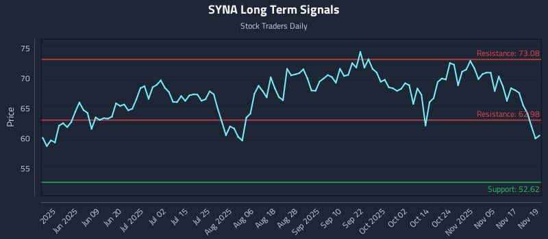 SYNA Long Term Analysis for November 20 2025