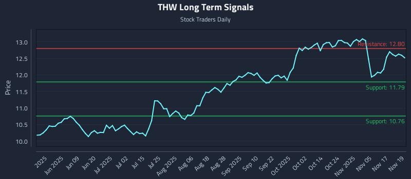 THW Long Term Analysis for November 20 2025