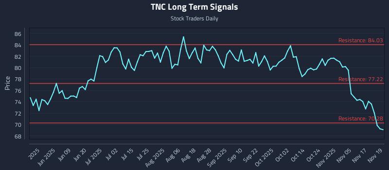 TNC Long Term Analysis for November 20 2025