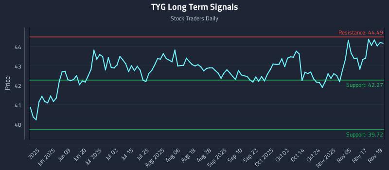 TYG Long Term Analysis for November 20 2025 TYG Long Term Analysis for November 20 2025