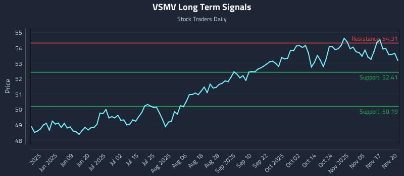 VSMV Long Term Analysis for November 20 2025