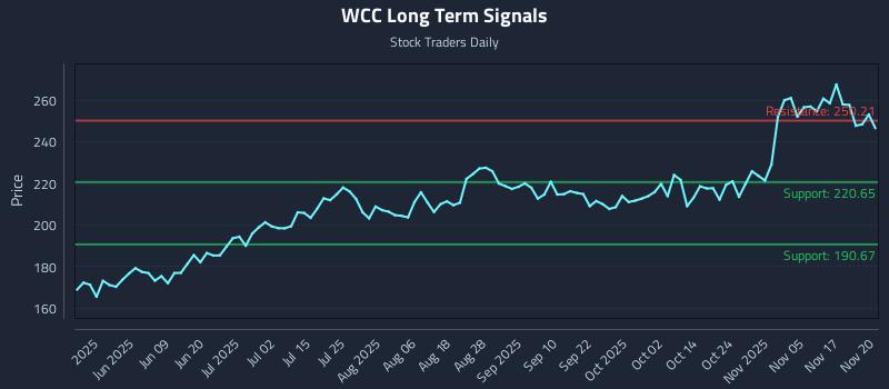 WCC Long Term Analysis for November 20 2025