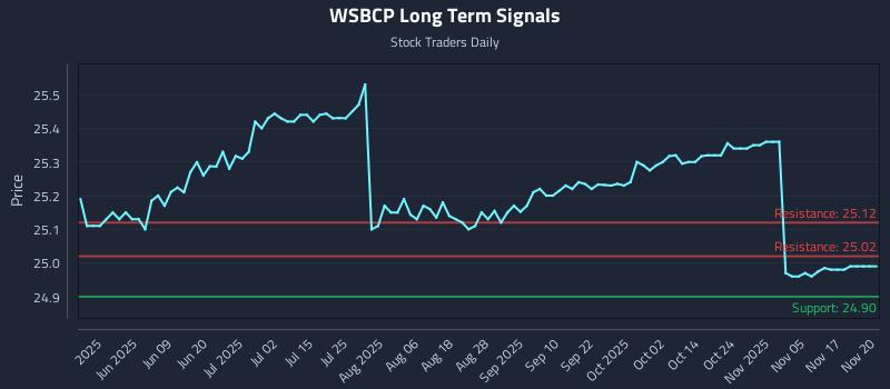 WSBCP Long Term Analysis for November 20 2025 WSBCP Long Term Analysis for November 20 2025