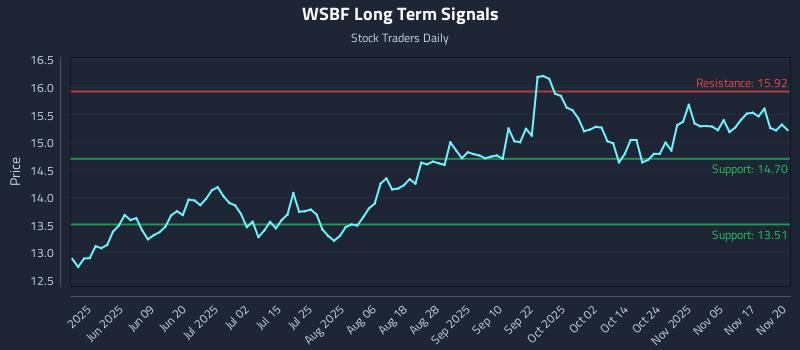 WSBF Long Term Analysis for November 20 2025