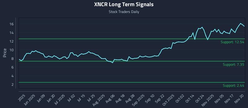 XNCR Long Term Analysis for November 20 2025