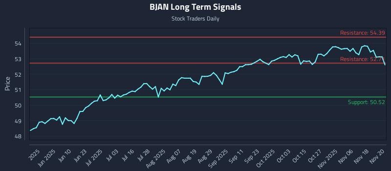 BJAN Long Term Analysis for November 21 2025 BJAN Long Term Analysis for November 21 2025