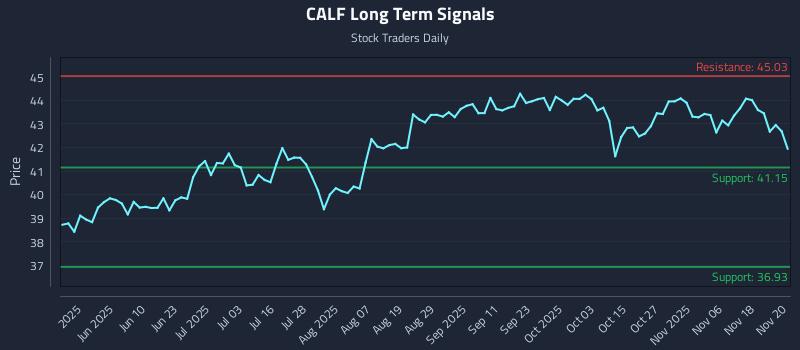 CALF Long Term Analysis for November 21 2025