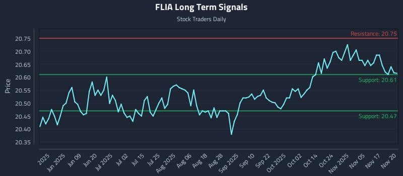 FLIA Long Term Analysis for November 21 2025