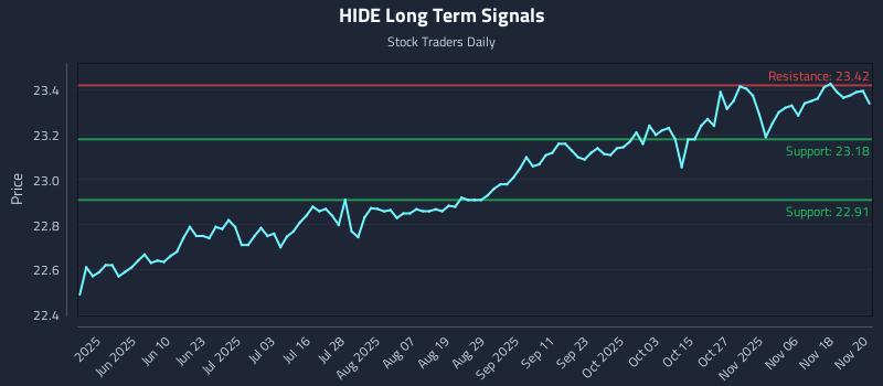 HIDE Long Term Analysis for November 21 2025