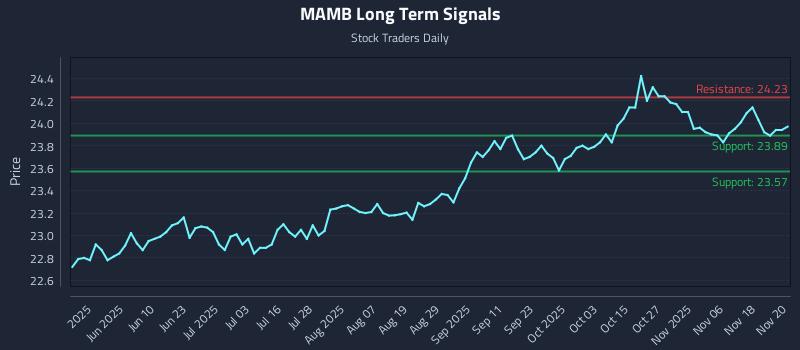 MAMB Long Term Analysis for November 21 2025 MAMB Long Term Analysis for November 21 2025