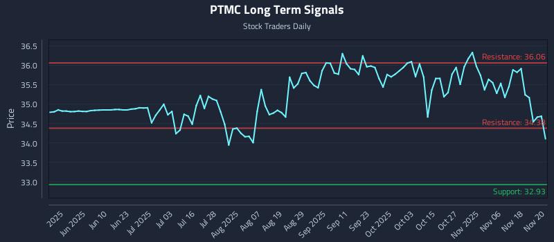 PTMC Long Term Analysis for November 21 2025 PTMC Long Term Analysis for November 21 2025