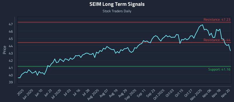 SEIM Long Term Analysis for November 21 2025 SEIM Long Term Analysis for November 21 2025