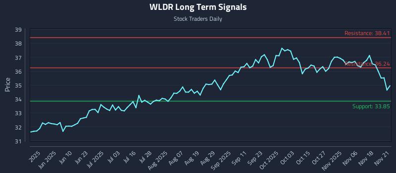 WLDR Long Term Analysis for November 21 2025
