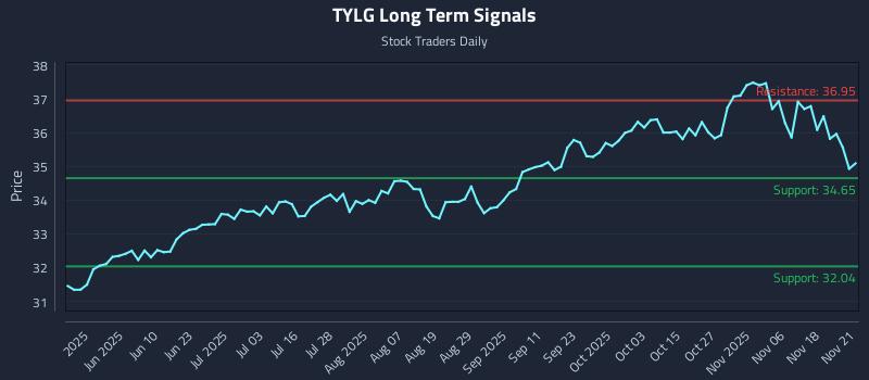 TYLG Long Term Analysis for November 21 2025