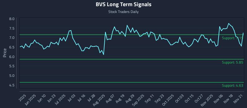 BVS Long Term Analysis for November 21 2025 BVS Long Term Analysis for November 21 2025