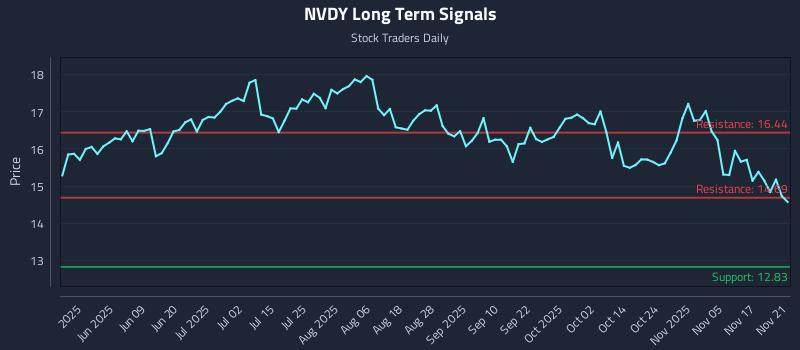 NVDY Long Term Analysis for November 21 2025