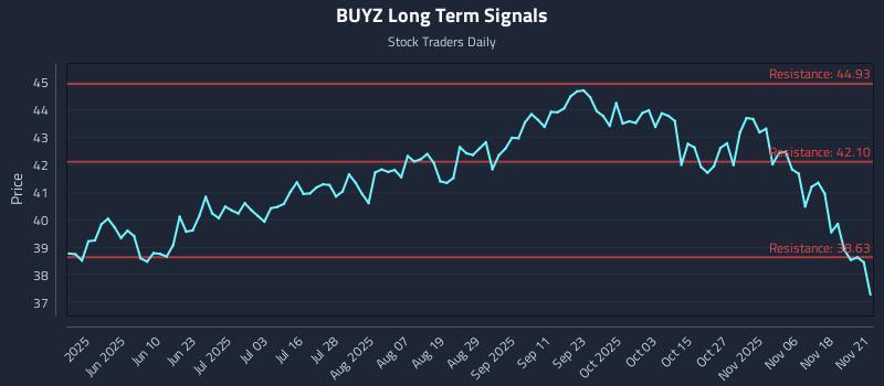 BUYZ Long Term Analysis for November 21 2025