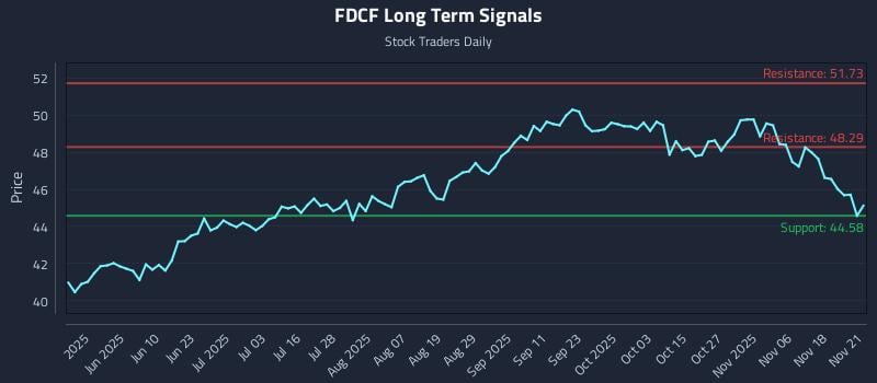 FDCF Long Term Analysis for November 21 2025