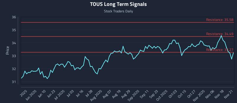 TOUS Long Term Analysis for November 21 2025 TOUS Long Term Analysis for November 21 2025